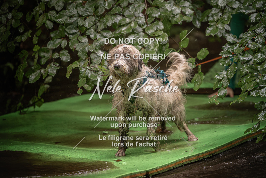 nelerasche_Wingst_Sa1330-1400_169 | nelerasche
