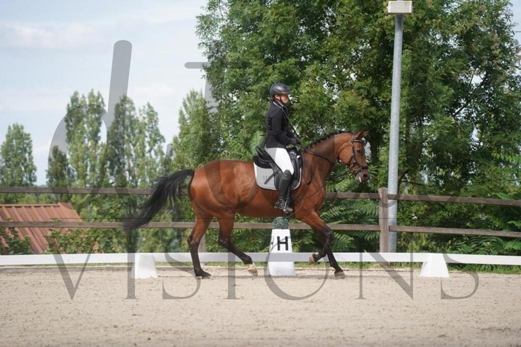 tgbhsamstag (863) | d.tail Visions - Shop - Realisiert mit Pictrs.com