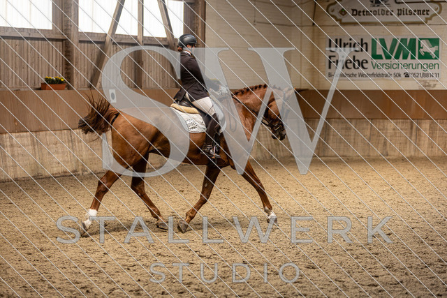 2L2A5159 | stallwerkstudio - Realisiert mit Pictrs.com