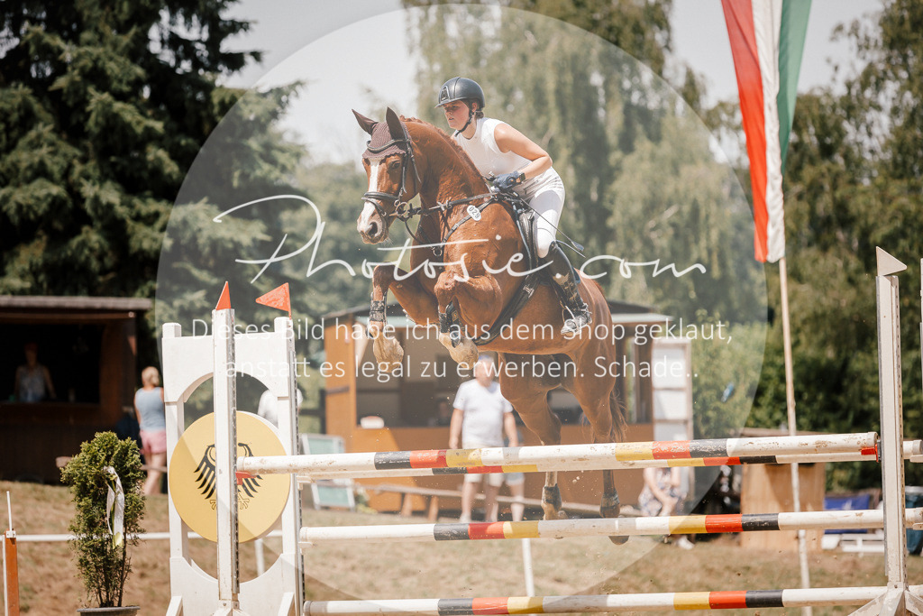 3I6A8069 | Stimmungsvolle Portraits und Reitsportfotografie im Ruhrgebiet und im Münsterland.

Pferdefotografie, Hundefotografie, Tierfotografie, Reportagen, Portraits von Tier und Mensch, Turnierfotografie in Bochum, Recklinghausen, Marl, Haltern am See, Dülmen.. - Realisiert mit Pictrs.com