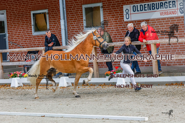 GK (563 von 759) | mandyhollmannphotographie