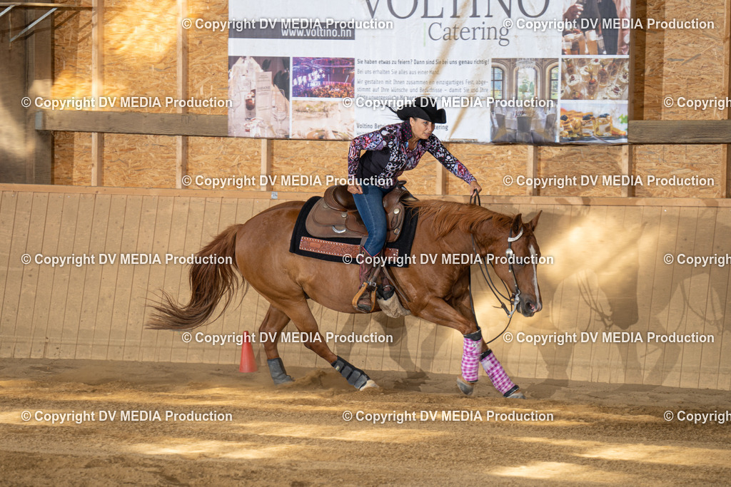 DSC00532 | dv-media-shop - Realisiert mit Pictrs.com