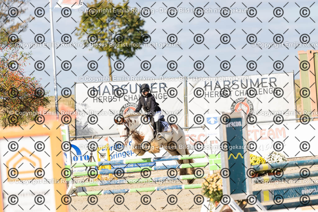 CL5A4200 | Emilia Reinking Fotografie - Realisiert mit Pictrs.com