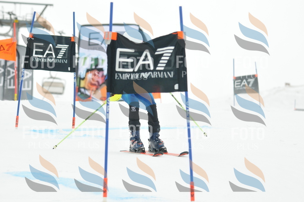 DSC_8164 | holidayphoto