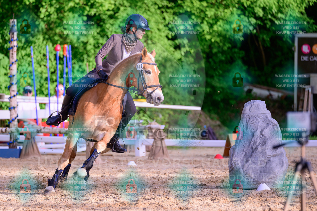 02052026-Giesenbach-03-Speedtrail-0845 | Fokus Hufschlag Fotografie - Realisiert mit Pictrs.com