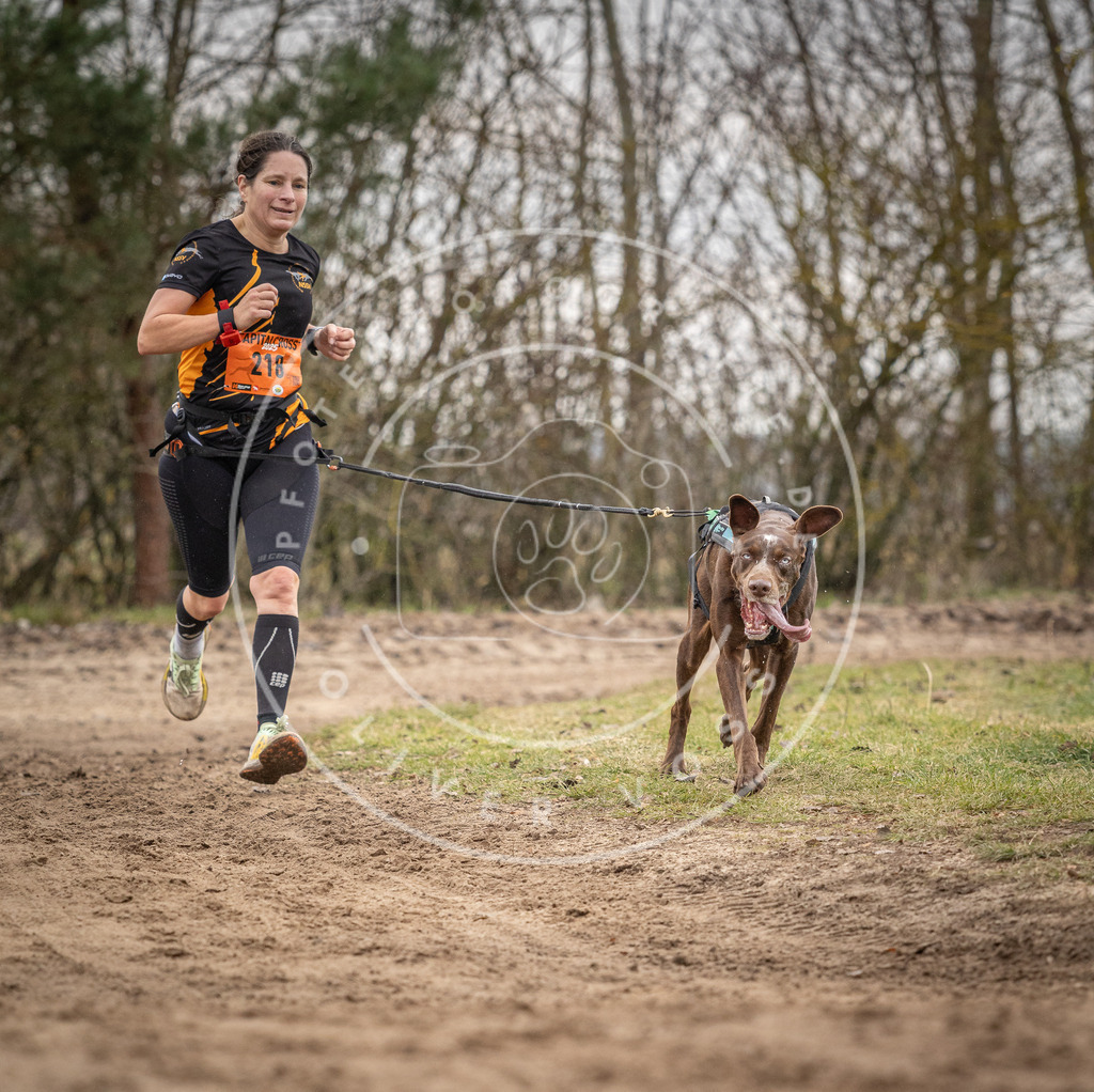 Pfotenfotografie_DV3A0577 | Hundefotografie, Tierfotograf, Pfotenfotografie, Fotoshooting Hund, Hunde Portrait, Hundesport, Hundeportraits, Heideshooting, Hunde, Sportfotograf, Hundefotograf, Turnierhundsport, THS,  - Realisiert mit Pictrs.com