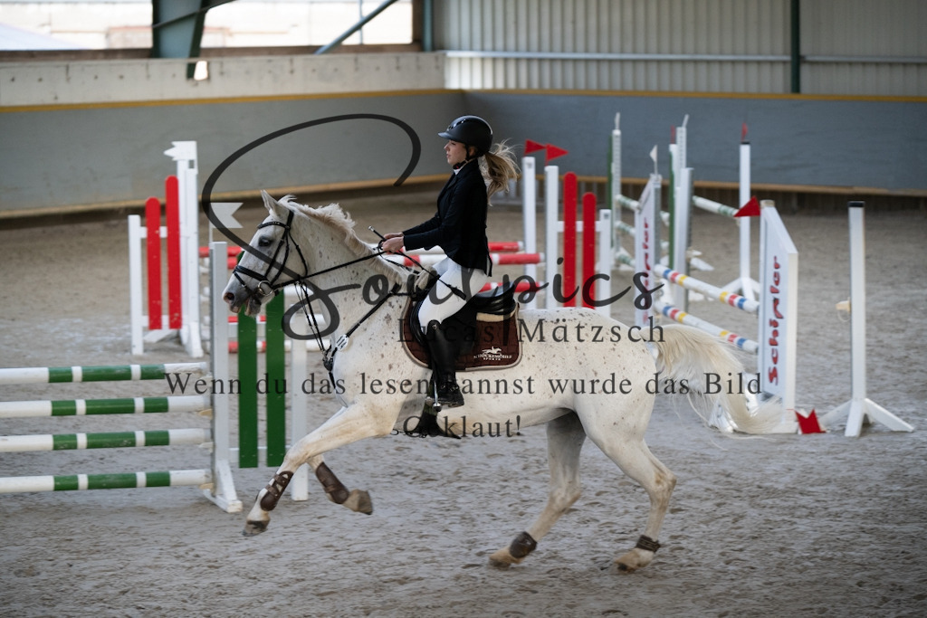 A7V01541 | Pferdefotograf