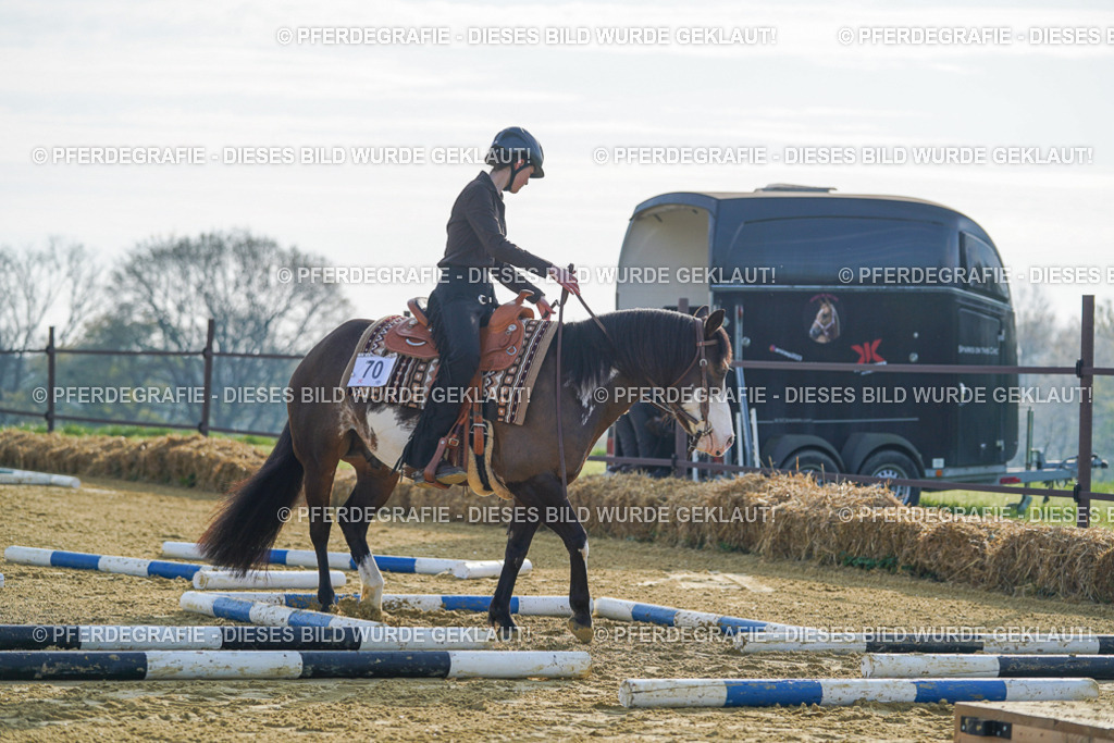 DSC00706 | Pferdegrafie