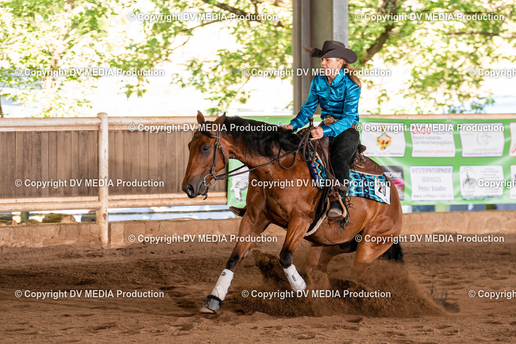 Erbach Tag 2-776 | dv-media-shop - Realisiert mit Pictrs.com