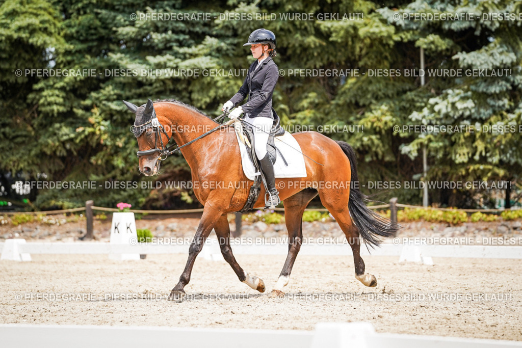 DSC03565 | Pferdegrafie