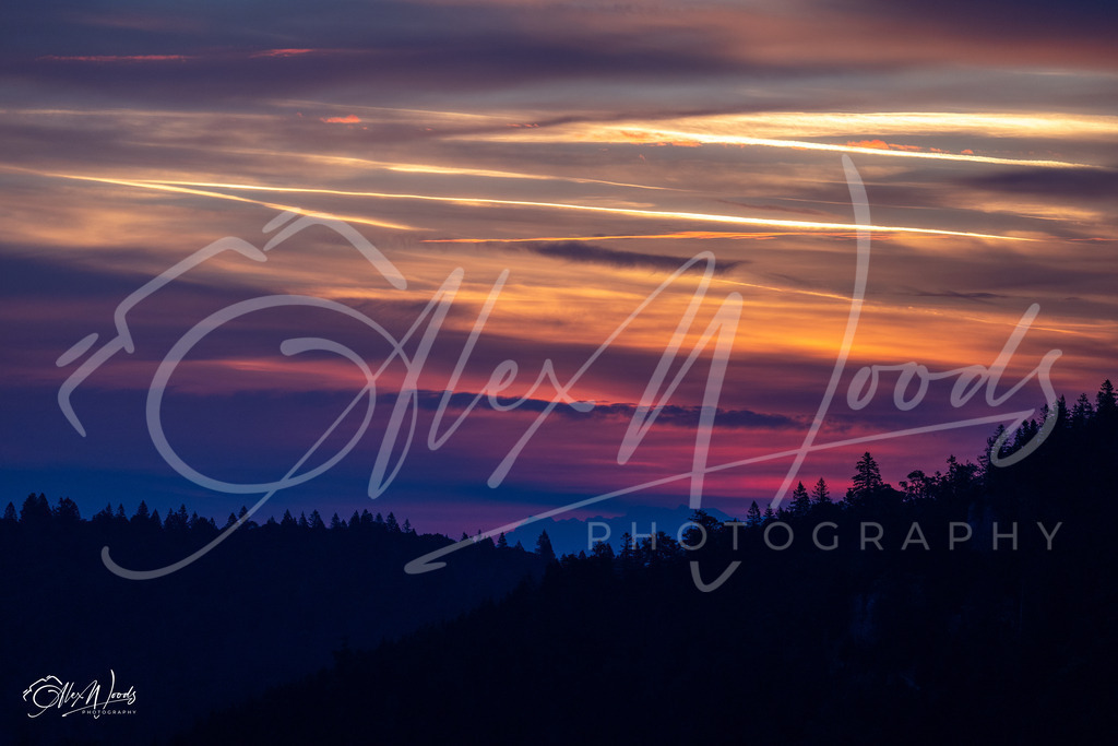 20240922_071447_SA933451_AlexWoods_FullSize | Alex Woods Photography