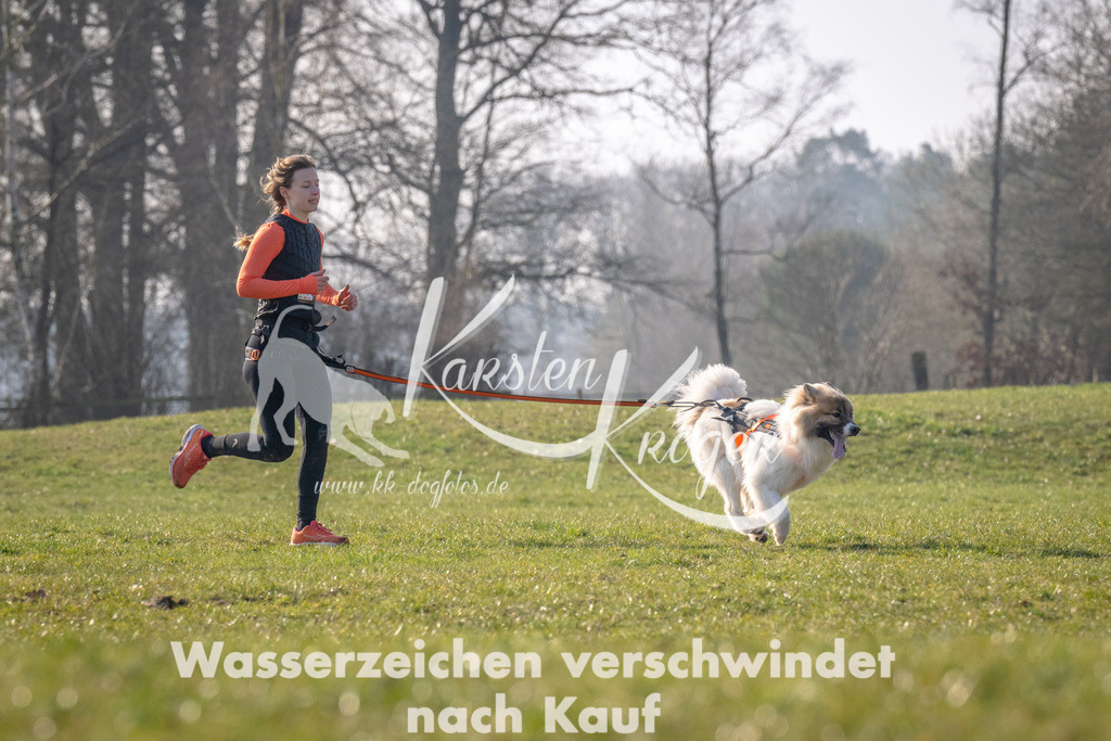 _ZZ93908 | kk-dogfotos