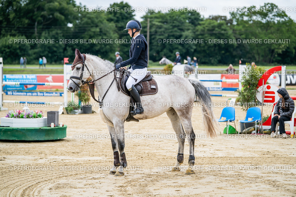 DSC04757 | Pferdegrafie