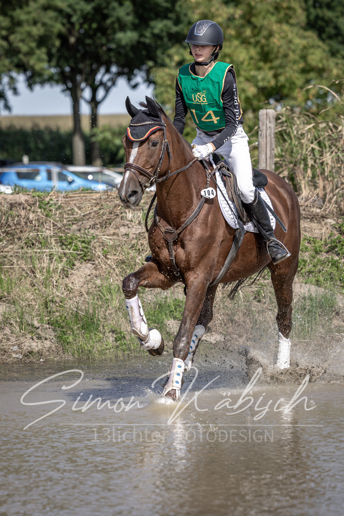 20250907-_3LI1524 | Tierfotografie Pferde, Hunde, Katzen, Haustiere.
Turnierfotografie Reitturniere, Reiten, Springreiten, Dressur in Hanau, dem Main-Kinzig-Kreis und dem Rhein-Main- Gebiet um Frankfurt