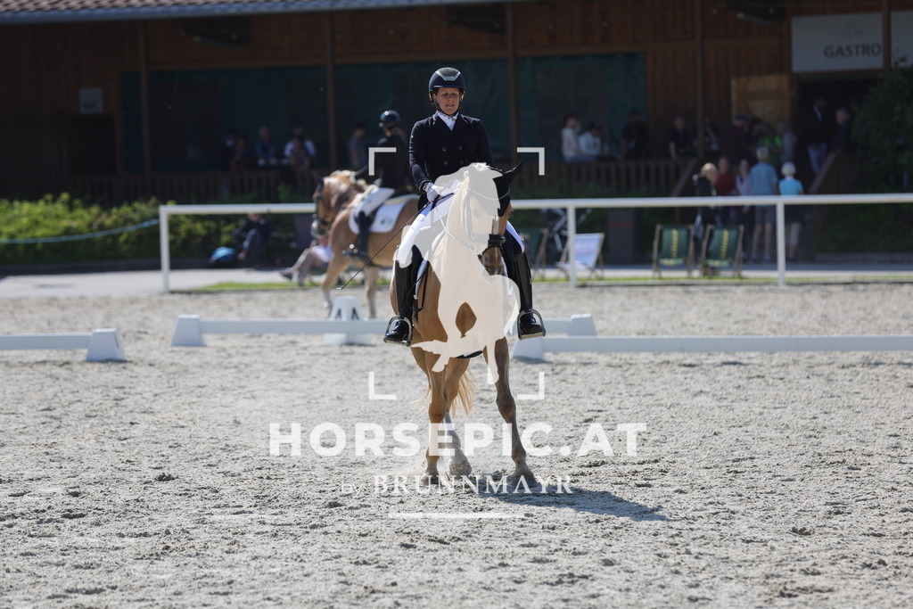0P6A3039 | Willkommen bei Brunnmayr - Design & Fotografie – Ihrem Spezialisten für Reitturniere und Pferdeveranstaltungen in Oberösterreich, Salzburg und Bayern! Seit über 17 Jahren sind wir leidenschaftlich dabei.