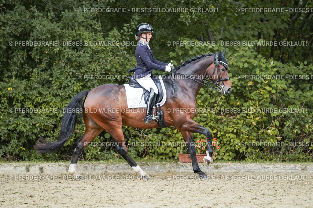 DSC06540 | Pferdegrafie