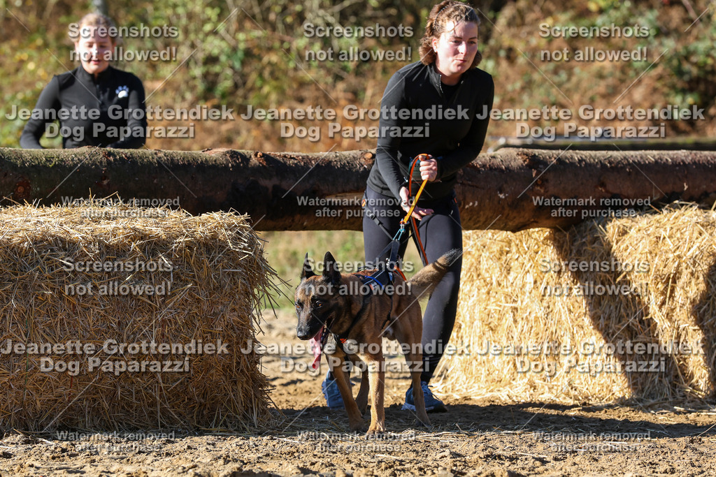 Dog Paparazzi - Strongdog 10-25-2165 | Dog Paparazzi Jeanette Grottendiek Fotografie & Videografie - Realisiert mit Pictrs.com