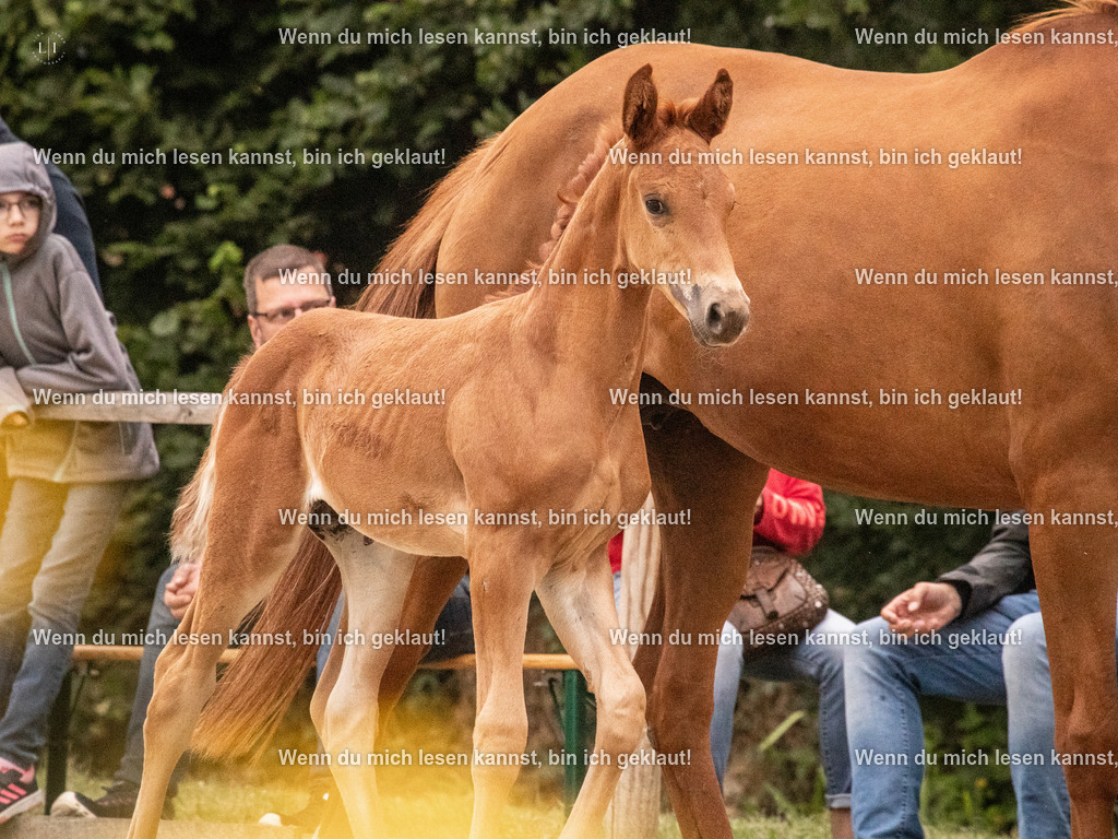 A10I4976 | photographylinaismer - Realisiert mit Pictrs.com