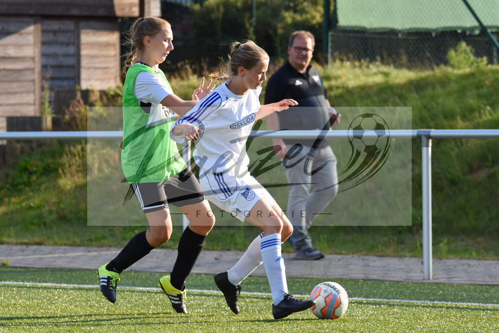 20180811_BORBEL_0011 | Fußball, Frauen:   beim Spiel der 1. Kreisklasse zwischen SG Borgloh/Kloster Oesede vs. SVC Belm-Powe am 11.08.2018 auf dem Kunstrasenplatz Borgloh in Borgloh, Deutschland.(Foto von Nico Paetzel) - Realisiert mit Pictrs.com