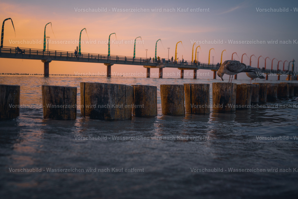 DSC04461 | marcuslinek