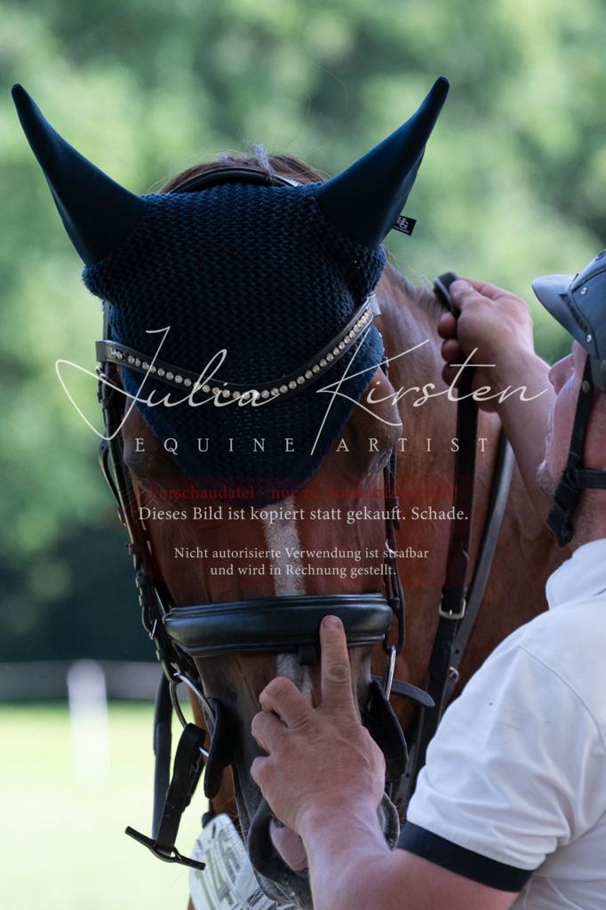 DSC_0658 | Pferde- und Turnierfotografie in Westsachsen. Pferdeportraits, Auftragszeichnungen und intuitive Kunst.