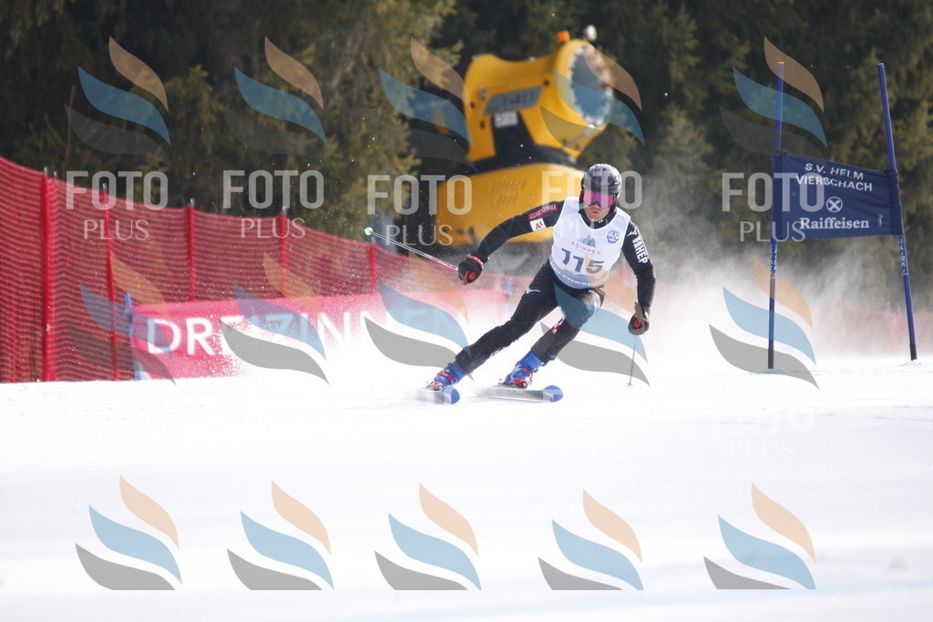 D6560 | holidayphoto