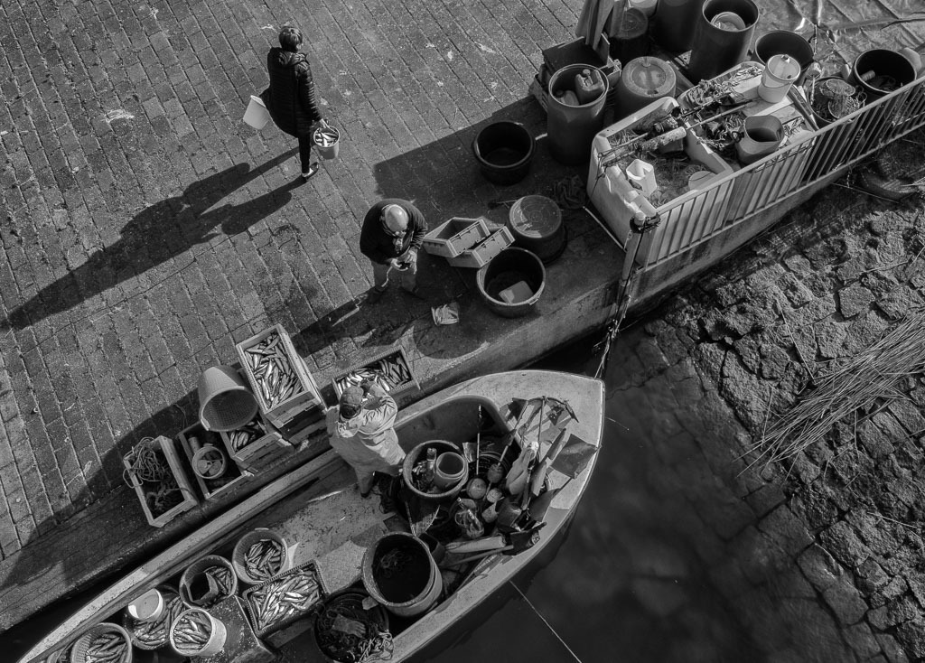 fischer-2020-045 | Matthias Nanz aus Schleswig ist einer der letzten Berufsfischer an der Schlei. Mit seinem Boot fährt er vom Liegeplatz in Missunde zu den Fanggründen in der Schlei. Im zeitigen Frühjahr werden vor allem Heringe gefangen. Ein Teil des Fangs geht direkt nach der Landung an Privatkunden. - Realisiert mit Pictrs.com
