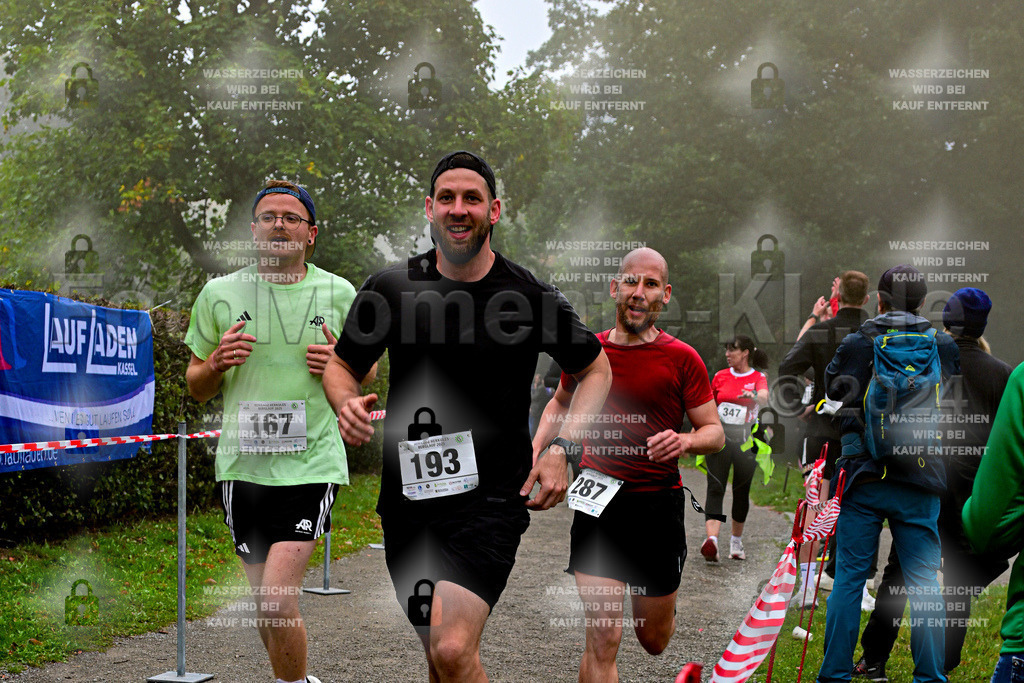 Z8N_1908 | la-psv - Realisiert mit Pictrs.com