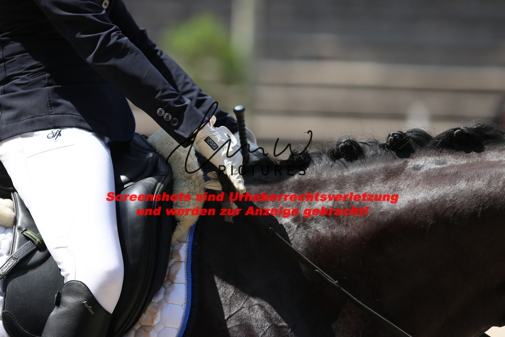 IMG_4437 | lmwpictures - Realisiert mit Pictrs.com