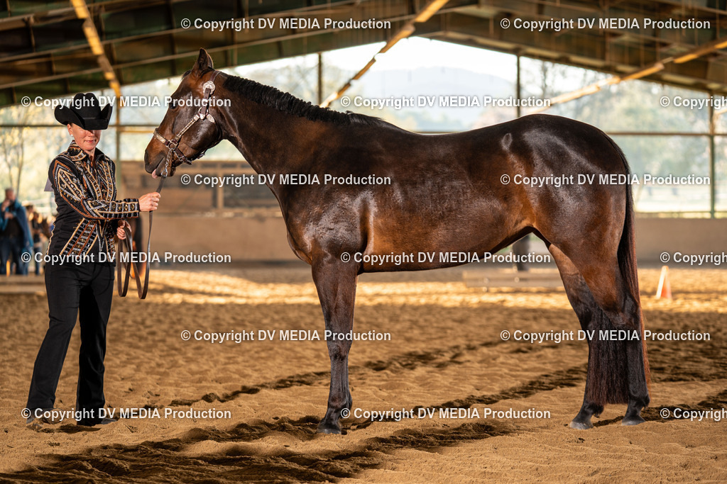 Balingen Tag 1-129 | dv-media-shop - Realisiert mit Pictrs.com