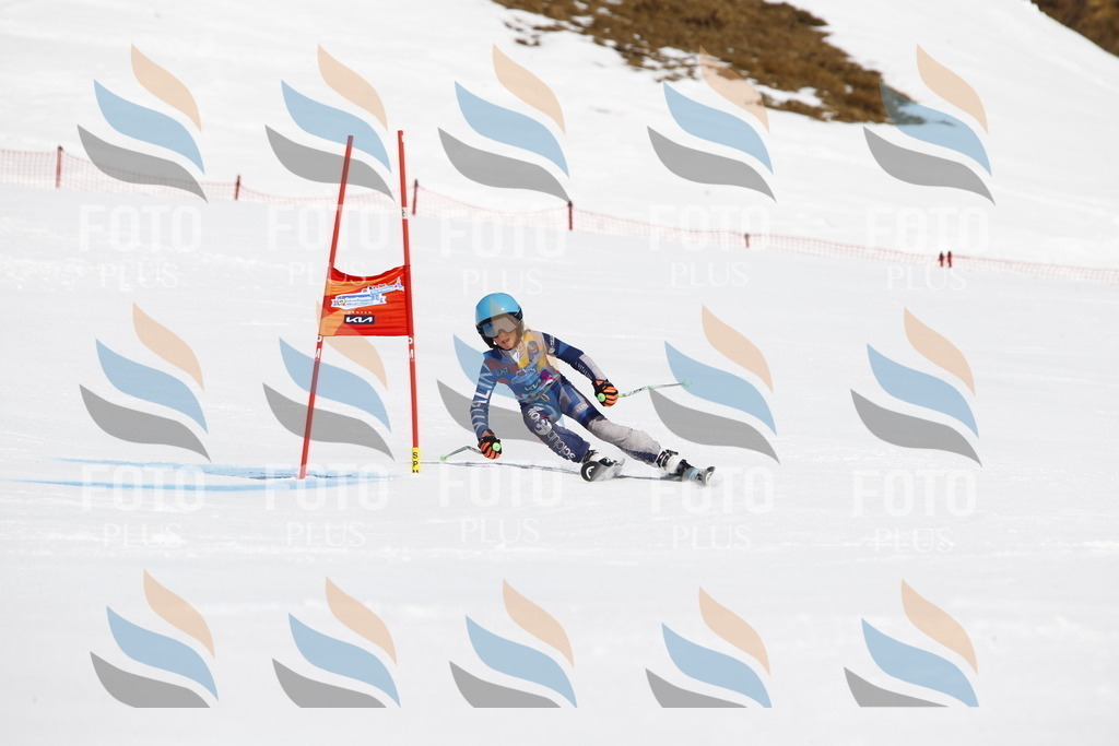 _U3G4377 | holidayphoto