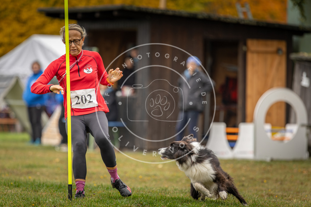 Pfotenfotografie_DV3A1631 | Hundefotografie, Tierfotograf, Pfotenfotografie, Fotoshooting Hund, Hunde Portrait, Hundesport, Hundeportraits, Heideshooting, Hunde, Sportfotograf, Hundefotograf, Turnierhundsport, THS,  - Realisiert mit Pictrs.com