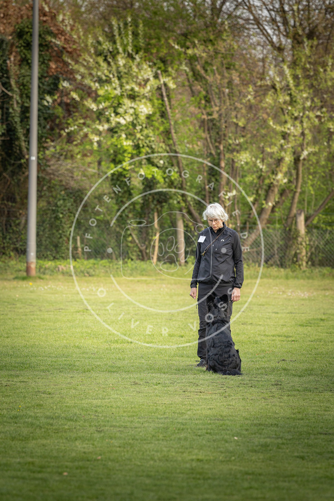 Pfotenfotografie_DV3A4868 | Hundefotografie, Tierfotograf, Pfotenfotografie, Fotoshooting Hund, Hunde Portrait, Hundesport, Hundeportraits, Heideshooting, Hunde, Sportfotograf, Hundefotograf, Turnierhundsport, THS,  - Realisiert mit Pictrs.com