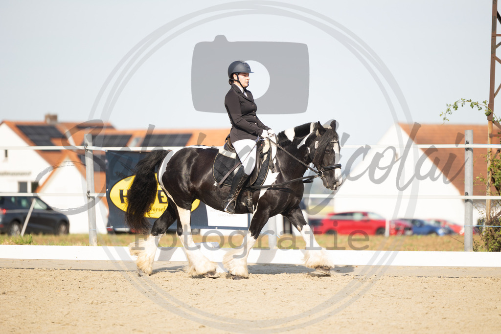 994A1572 | sabrinanicolaifotografie - Realisiert mit Pictrs.com