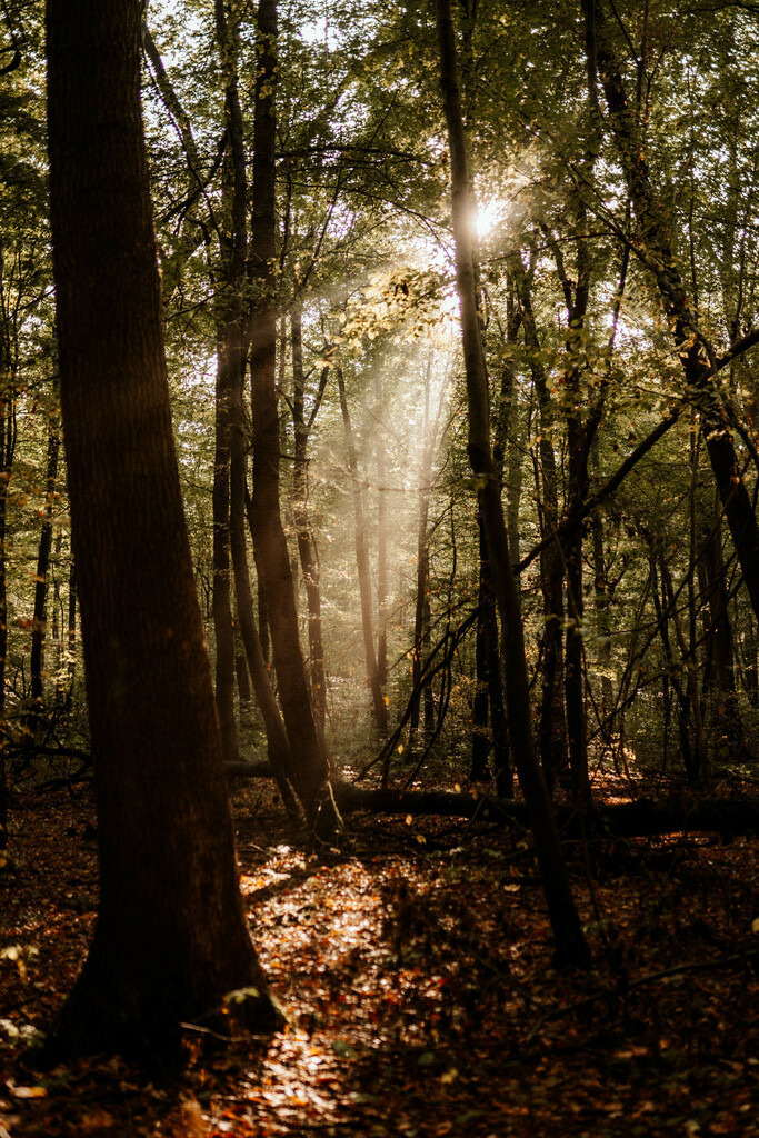 IMG_5379 | Print Shop 
Fotografie
Posterdruck
Landschaftsfotografie
Reisefotografie
Naturfotografie
Anja Brandes Poster 
Anja Brandes Photography 
Prints for Walls 
Printable 
Posterdrucke
Poster aesthetic 
Poster Wall 
Poster Prints 
Poster schwarz weiß - Realisiert mit Pictrs.com