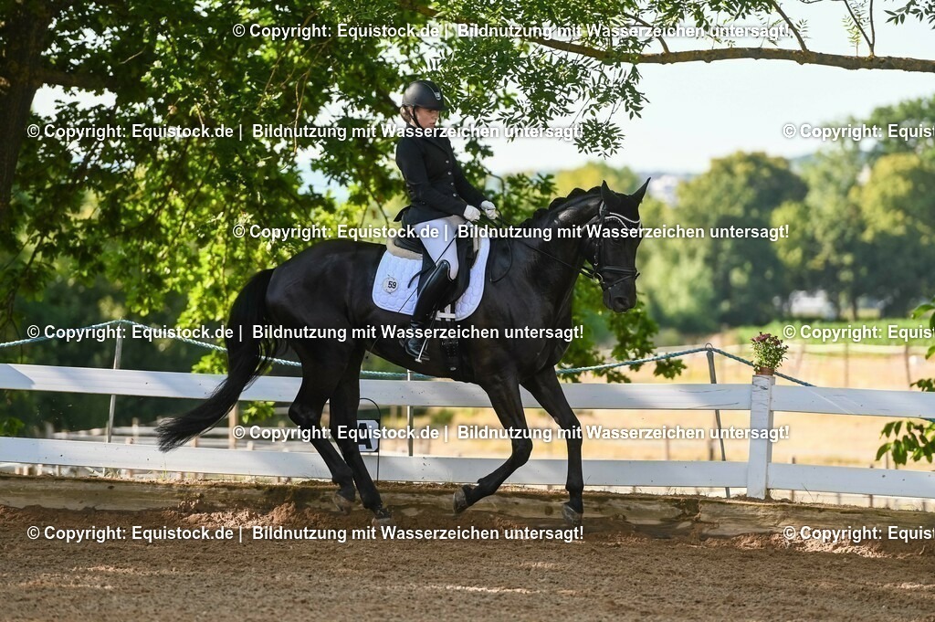 20230715_06_Dressurpferdeprfg. Kl.A_0093 | equistock