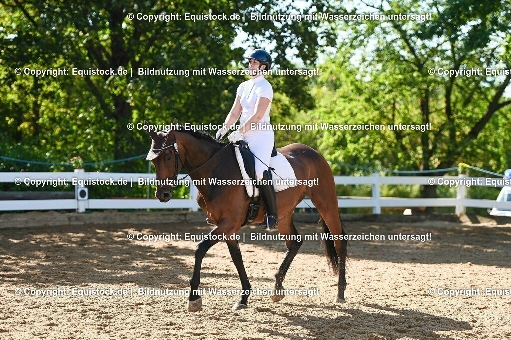20230715_06_Dressurpferdeprfg. Kl.A_0292 | equistock