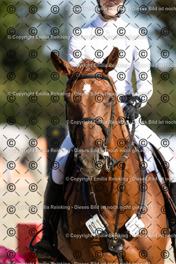 CL5A7957 | Emilia Reinking Fotografie - Realisiert mit Pictrs.com