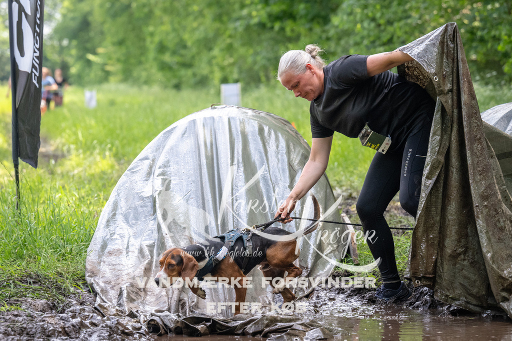 1228_ZZ92403 | kk-dogfotos