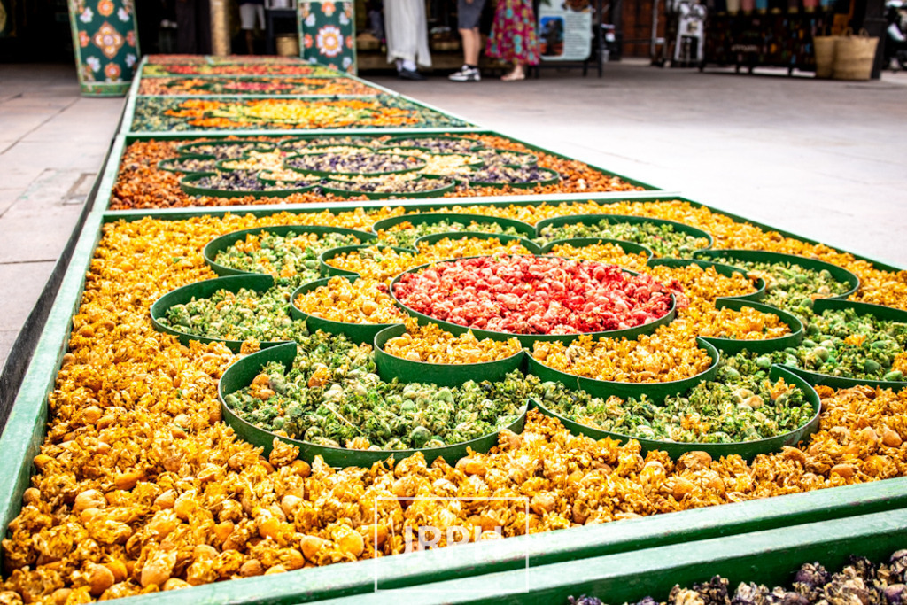 IMG_8047 | jrph - Realisiert mit Pictrs.com