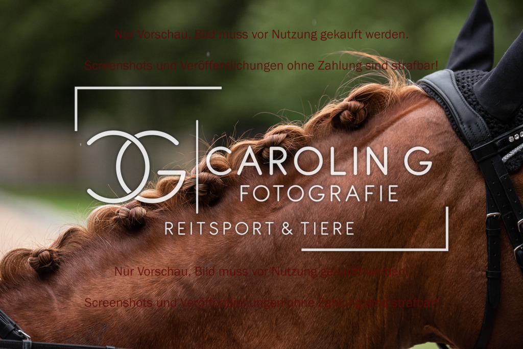 DSC_4334 | Turnierfotografin Carolin Gieschke, Turnierfotografie Carolin G Fotografie, Turnierfotos Kirchheim/Teck, Esslingen, Stuttgart, Bodenseekreis