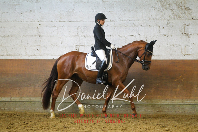 DKP43445 | Turniersportfotografie; Pferdefotografie; Dressurfotografie