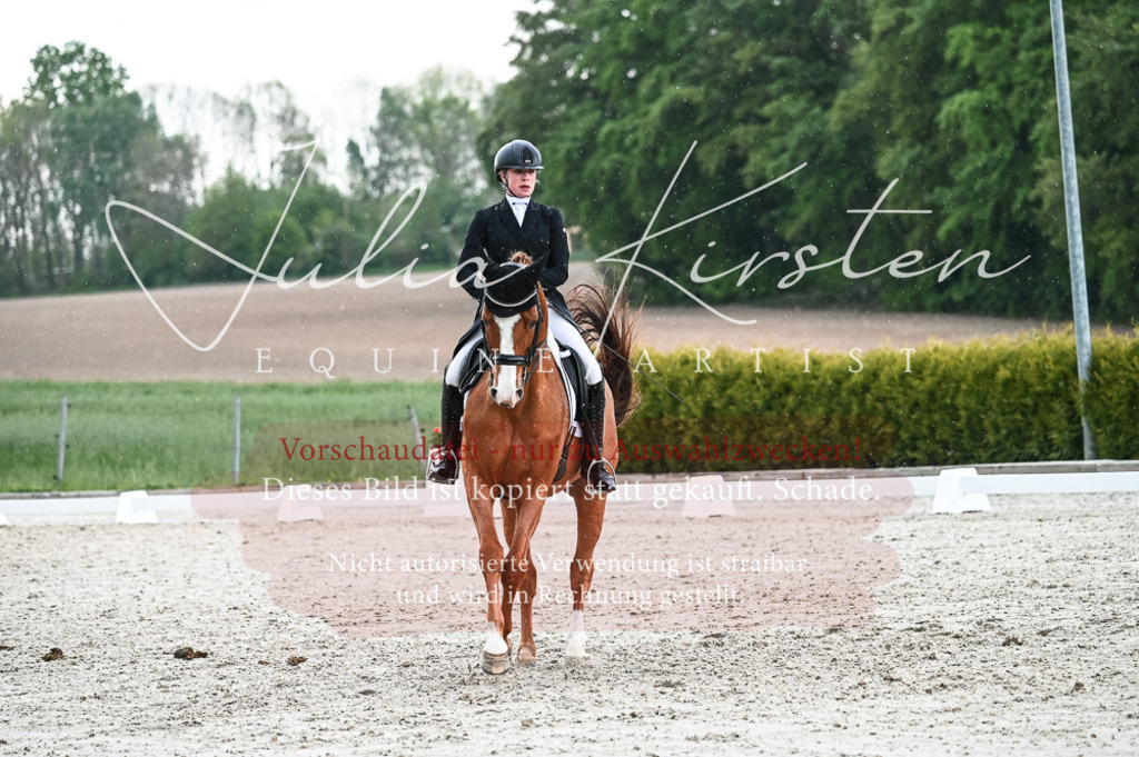 20230514_JK-Röhrsdorf-21-664 | Pferde- und Turnierfotografie in Westsachsen. Pferdeportraits, Auftragszeichnungen und intuitive Kunst.