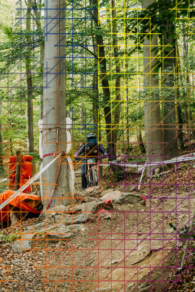 PAE-2473 | Einzigartige Fotokunst für dein Zuhause: Entdecke hochwertige Wandbilder, edle Prints und emotionale Motive von Wildlife, Natur und Landschaften - Realisiert mit Pictrs.com