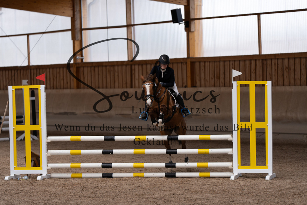 A7507527 | Pferdefotograf