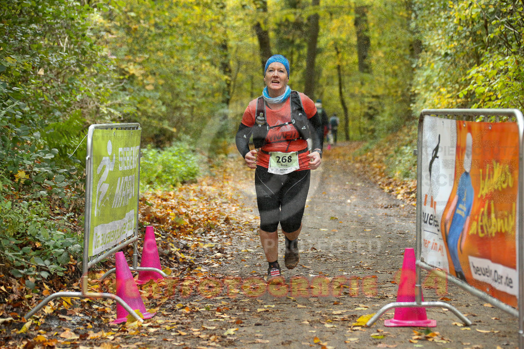 251026_1406_EX1_4101 | Sportfotografie im Rhein-Sieg Kreis, Köln, Bonn, NRW, Rheinland Pfalz, Hessen, etc. Unser Tätigkeitsfeld umfasst den Laufsport vom Volkslauf über den Marathon, Duathlon, Triathon bis zum Ultralauf wie Kölnpfad Ultra oder Schindertrail.