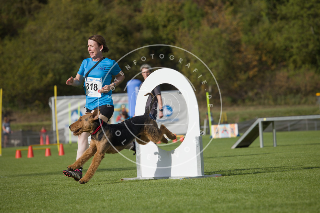 0L8A3807 | Hundefotografie, Tierfotograf, Pfotenfotografie, Fotoshooting Hund, Hunde Portrait, Hundesport, Hundeportraits, Heideshooting, Hunde, Sportfotograf, Hundefotograf, Turnierhundsport, THS,  - Realisiert mit Pictrs.com