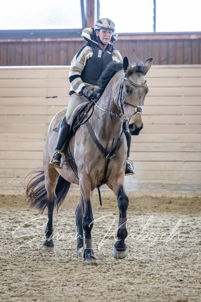 20260221-_3LI0253 | Tierfotografie Pferde, Hunde, Katzen, Haustiere.
Turnierfotografie Reitturniere, Reiten, Springreiten, Dressur in Hanau, dem Main-Kinzig-Kreis und dem Rhein-Main- Gebiet um Frankfurt