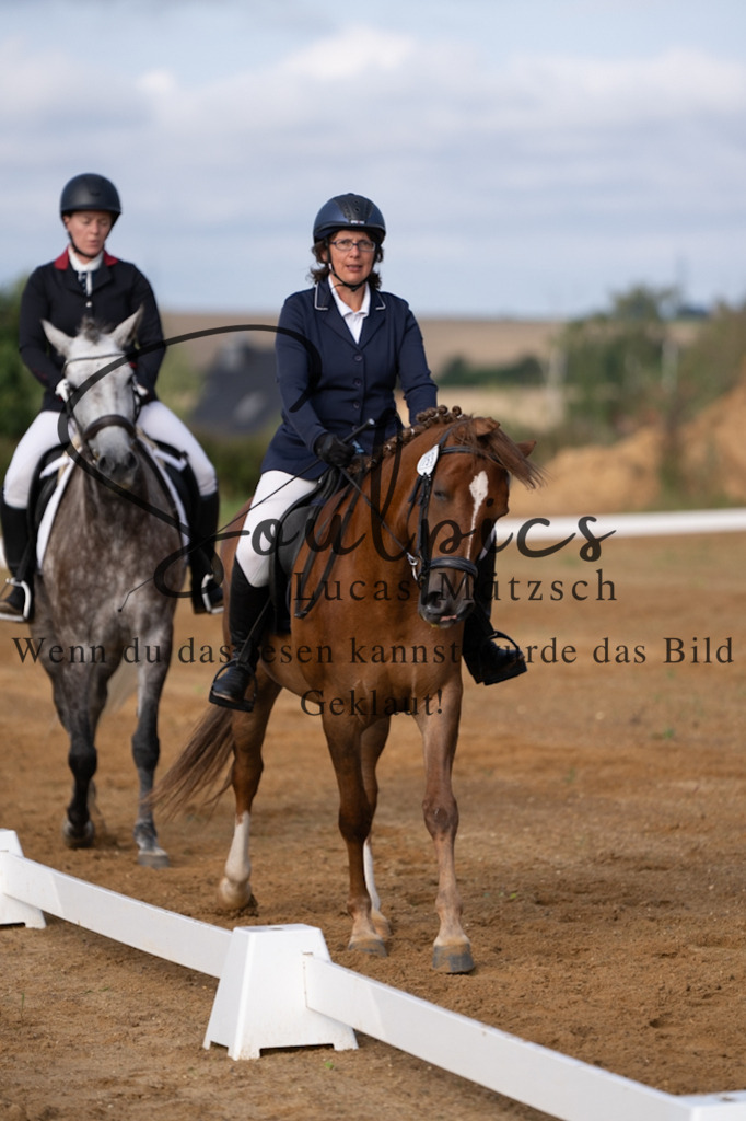 A7V03739 | Turnier/Reitfotograf