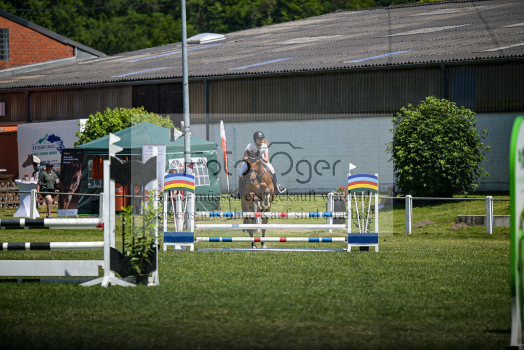 Reitturnier Voxtrup | Entdecke hochwertige Reitturnierfotos von Foto Oger. Professionell, emotional und authentisch – jetzt Lieblingsmomente im Shop bestellen. - Realisiert mit Pictrs.com